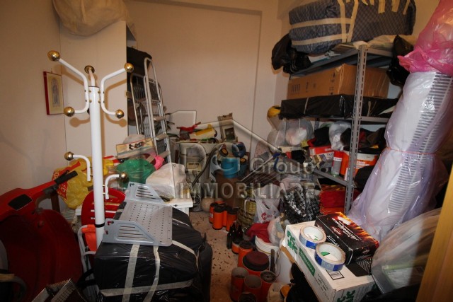 Appartamento ALCAMO vendita  Alcamo  Dg Group Immobiliare