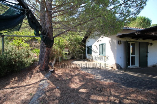 Villa CALATAFIMI-SEGESTA vendita  Calatafimi-Segesta  Dg Group Immobiliare